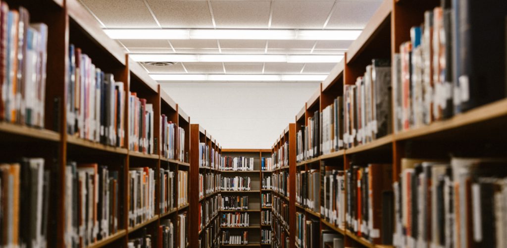 shelves filled with books 